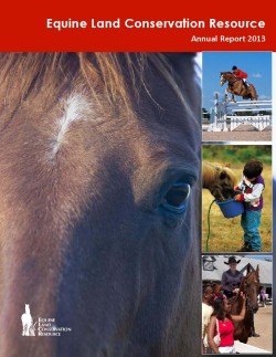 2013 annual report cover