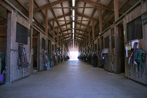 Hazelwild Farm : ELCR