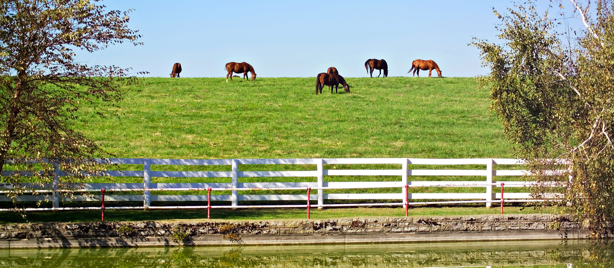 Many land-use professionals and agricultural agencies recognize that the more important question is not how many acres a property contains, but how many horses the land can sustainably support.