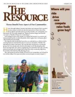 The Resource Sum 2014 v8_Page_1