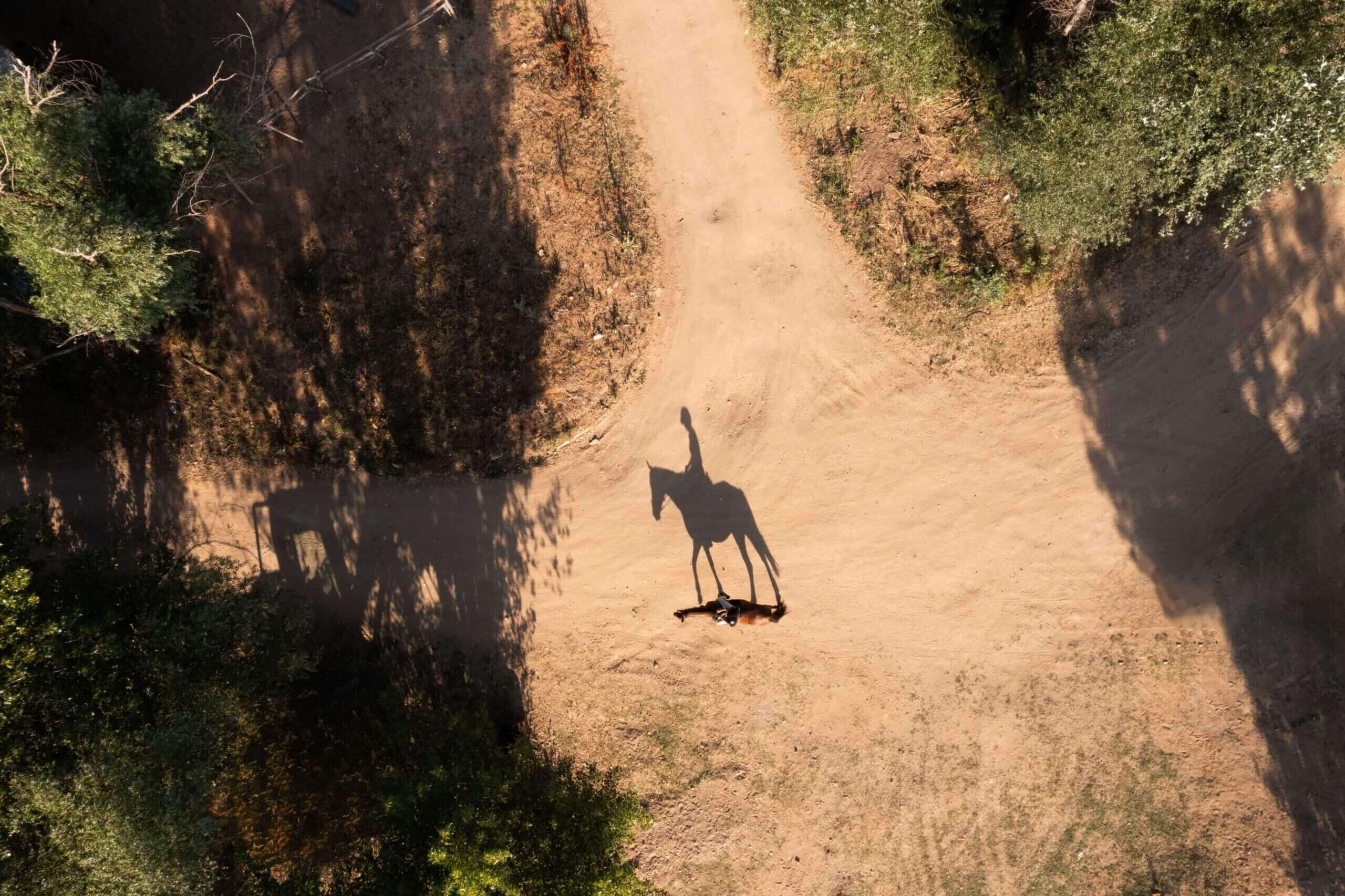 Aerial view of a dirt path with the shadow of a person riding a horse cast on the ground, surrounded by trees and foliage.