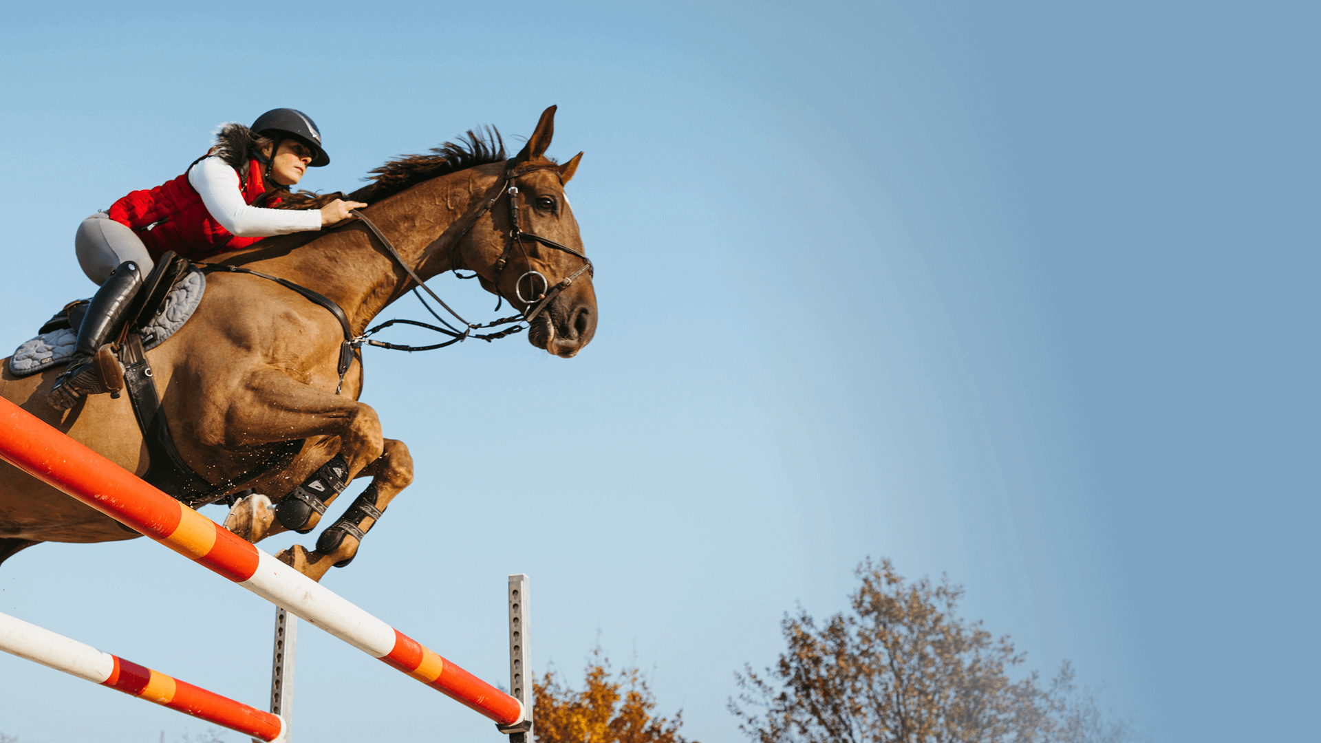 Horse and rider clearing a jump