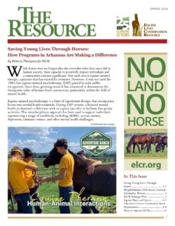 Spring 2026 Newsletter